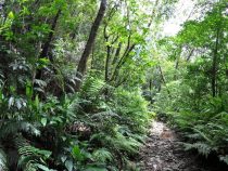 山が呼んでいる！自分を成長させてくれる登山・トレッキング